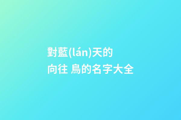 對藍(lán)天的向往 鳥的名字大全
